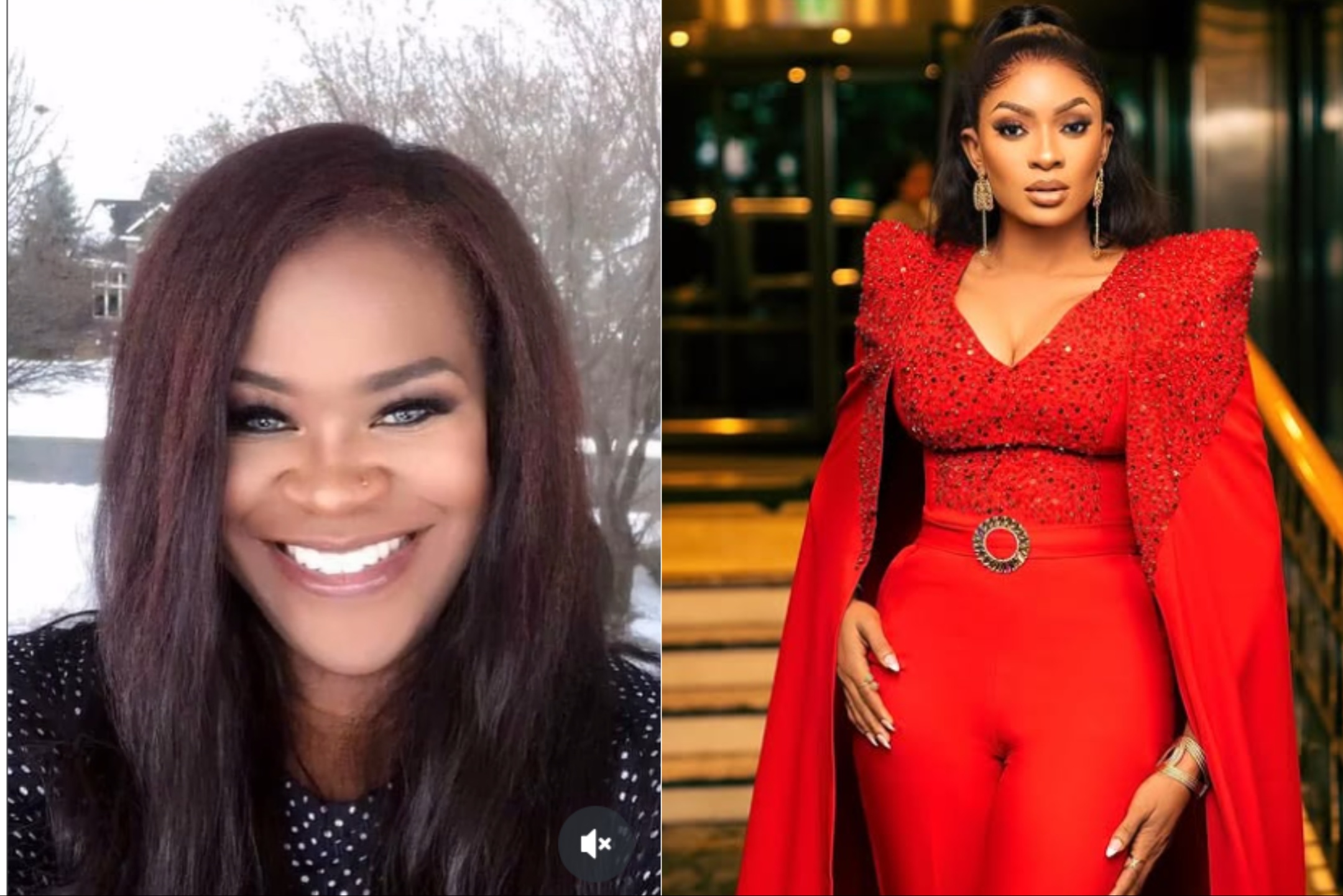 “Enough Is Enough!” – Yinka Theisen Blames May Edochie for Cyber Harassment