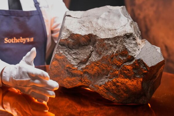 Martian Meteorite Discovered in Niger Sparks Controversy After U.S. Sale Martian Meteorite Discovered in Niger Sparks Controversy After U.S. Sale