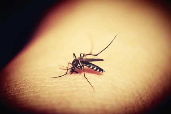 Nigeria at Forefront as Africa Rolls Out First Malaria Treatment for Newborn Nigeria at Forefront as Africa Rolls Out First Malaria Treatment for Newborn