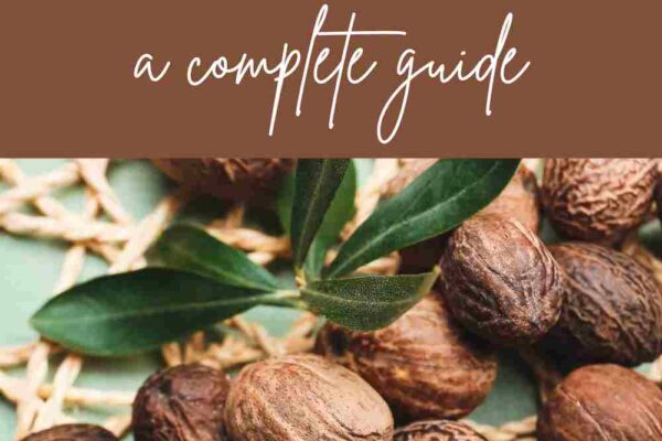 What is Shea Nut? Africa’s Golden Beauty Secret