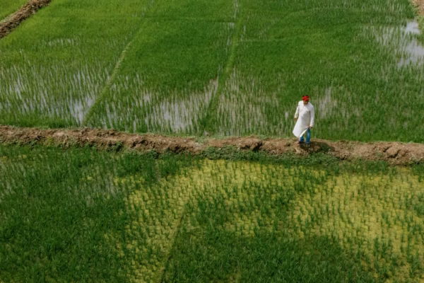 How AI Helps Small-Scale Farmers Weather