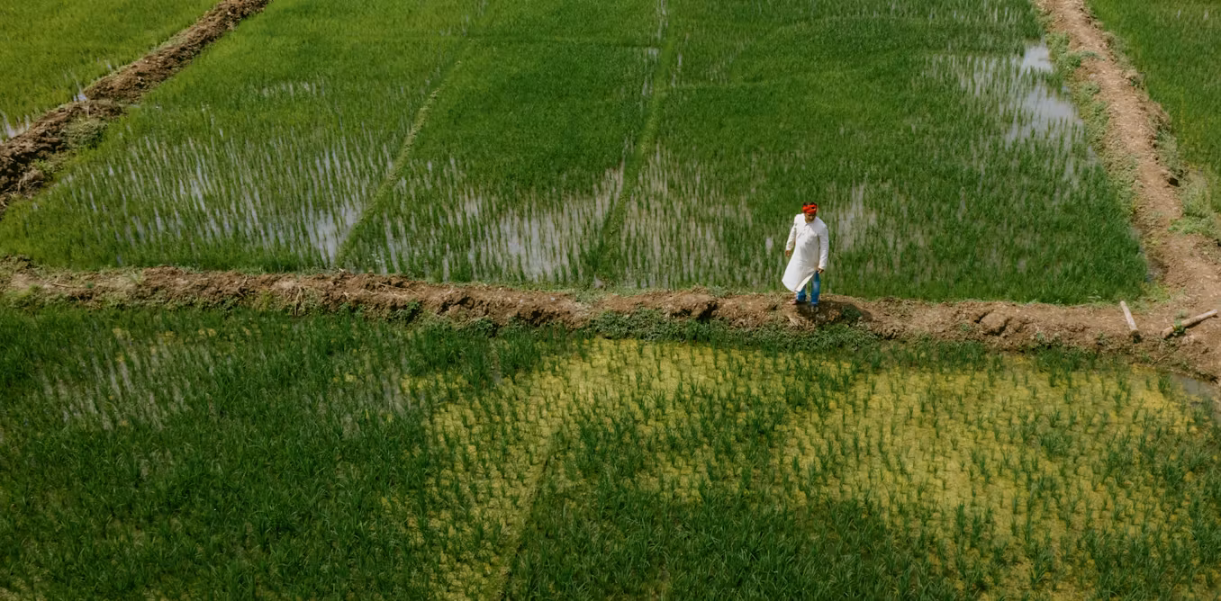 How AI Helps Small-Scale Farmers Weather