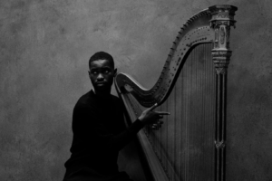 Dave Drops New Album The Boy Who Played the Harp Dave Drops New Album The Boy Who Played the Harp