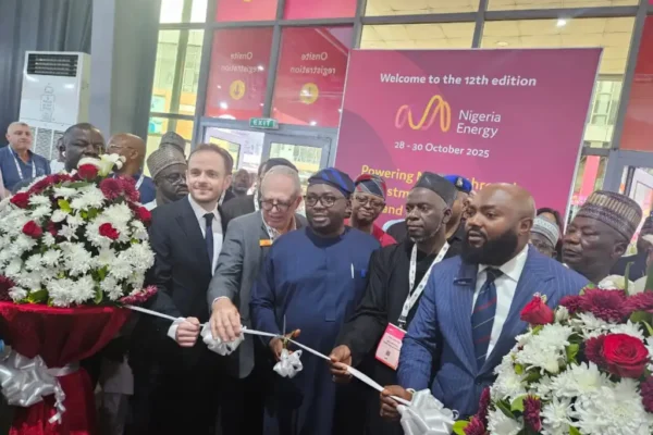 FG to Require DisCos Meet Minimum Capital Adequacy for Licence Renewal