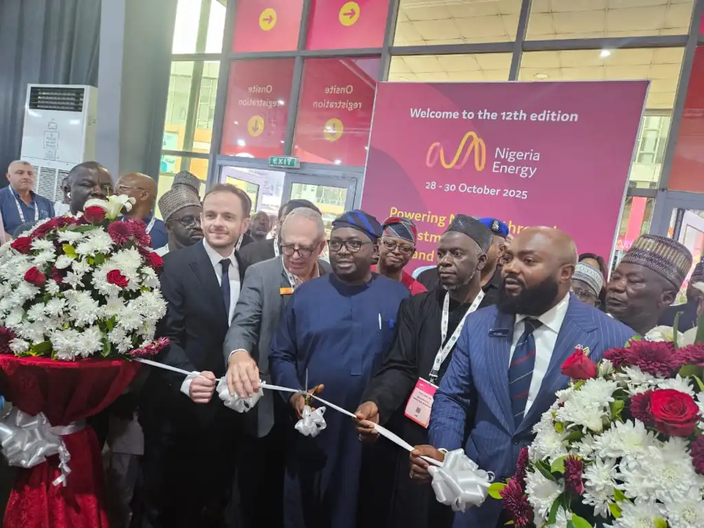 FG to Require DisCos Meet Minimum Capital Adequacy for Licence Renewal