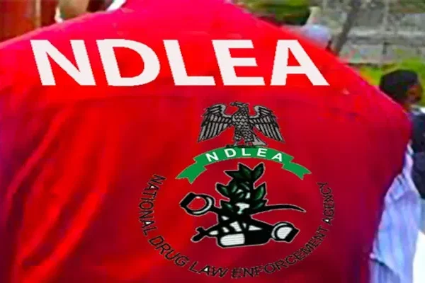 NDLEA Warns Night Clubs and Fun Seekers Against Illegal Drug Parties
