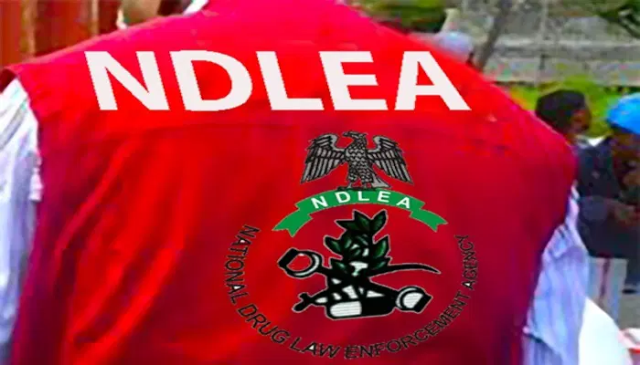 NDLEA Warns Night Clubs and Fun Seekers Against Illegal Drug Parties
