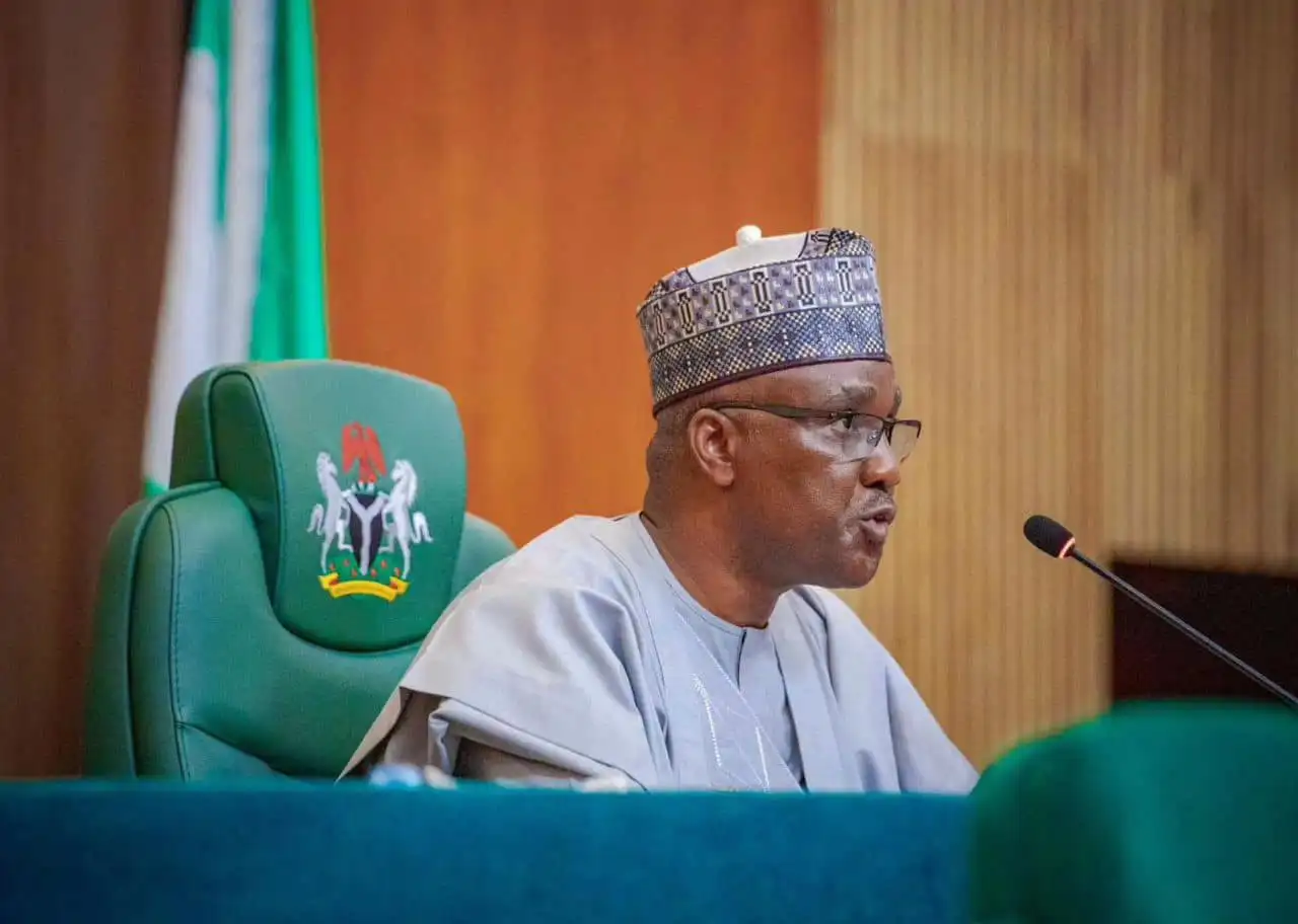 National Assembly Advances Diaspora Voting Bill, Launches NiDRes Platform