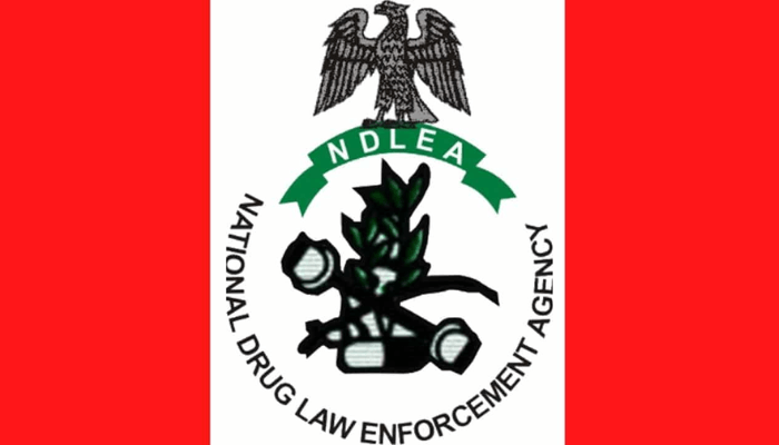 NDLEA officers display seized drugs during nationwide raids