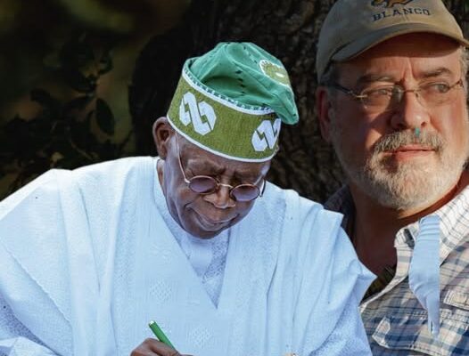 Former Texas Mayor Criticizes Tinubu Ambassadorial Appointments