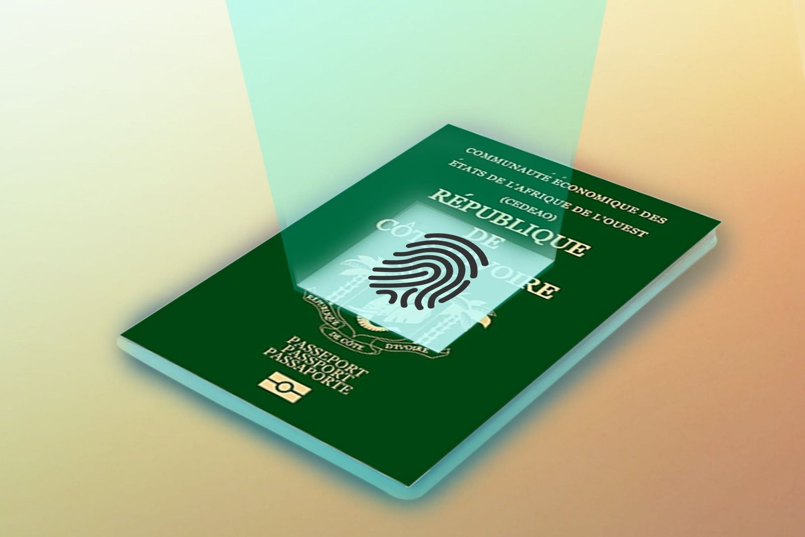 Top countries now issuing e-passports for secure travel