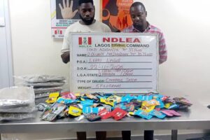NDLEA Foils Lagos Drug Ring Using Fake Christmas Cookies