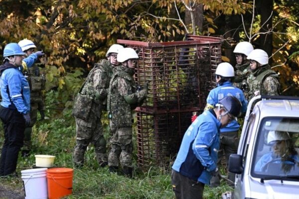 Japan Deploys Troops to Tackle Rising Bear Attacks in the North