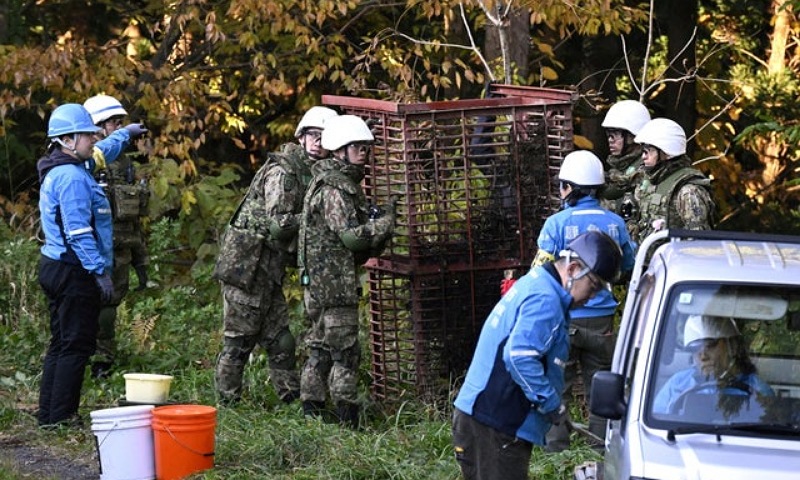 Japan Deploys Troops to Tackle Rising Bear Attacks in the North