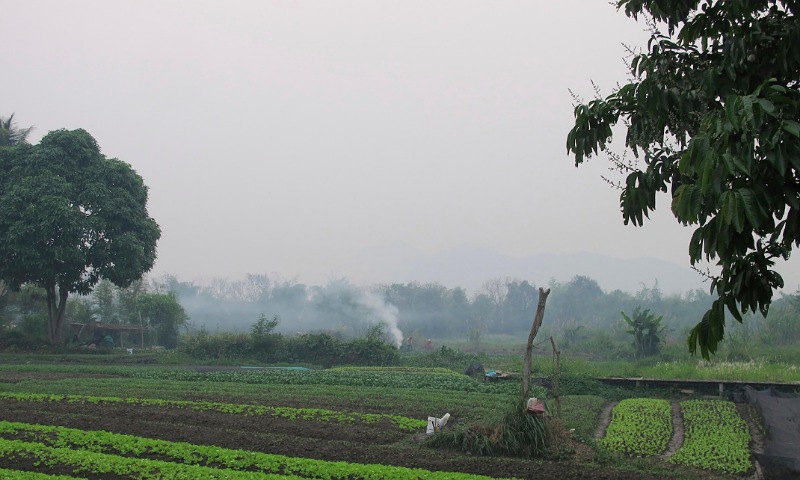 American Father and Son Killed in Tragic Hornet Attack in Laos