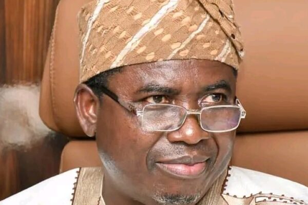 Observers Hail Peaceful, Smooth Anambra Election – INEC