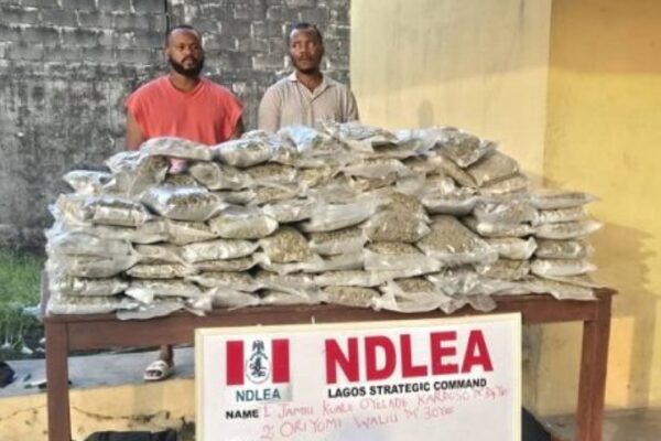 NDLEA Arrests Wanted Drug Baron, Recovers Huge Drugs in Lagos