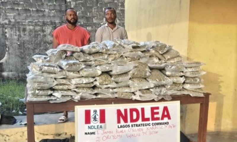 NDLEA Arrests Wanted Drug Baron, Recovers Huge Drugs in Lagos