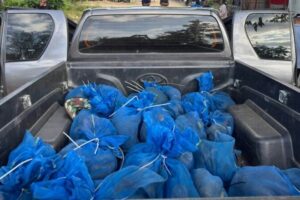 Thailand Rangers Bust Car Packed with 81 Monkeys and Meth
