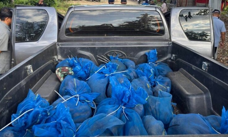 Thailand Rangers Bust Car Packed with 81 Monkeys and Meth