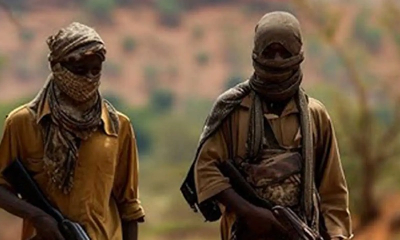 Over 50 Abducted as Terrorists Attack Catholic School in Niger
