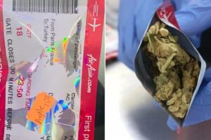 NDLEA Uncovers Drugs Hidden in Flight Boarding Passes