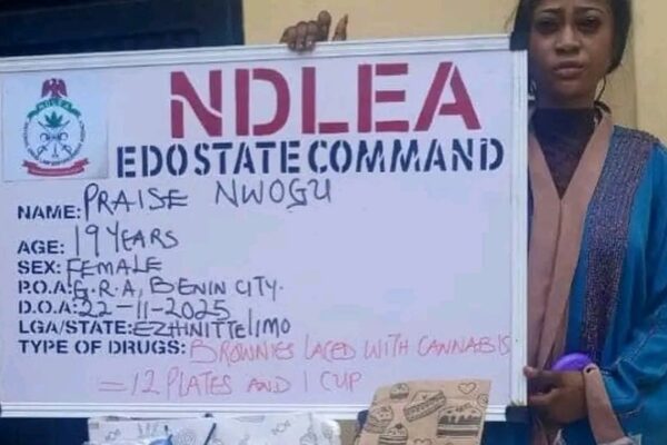 NDLEA Arrests Influencer Over Viral Cannabis Cookies
