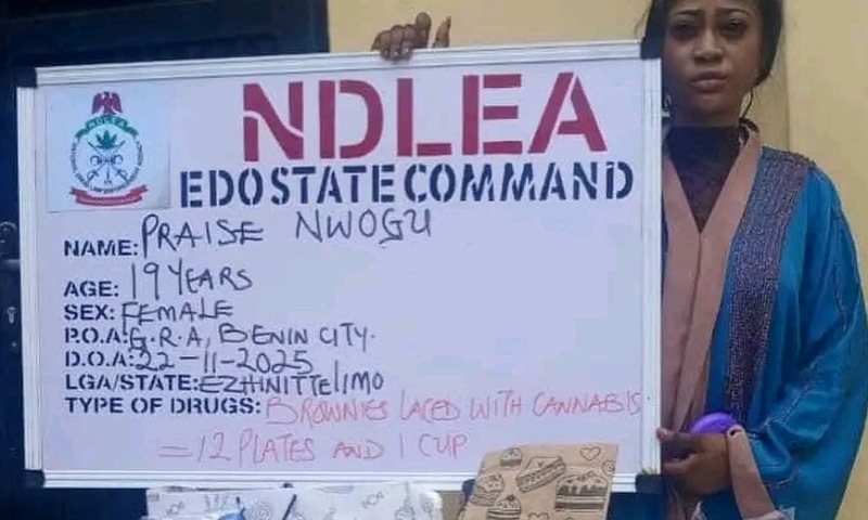 NDLEA Arrests Influencer Over Viral Cannabis Cookies