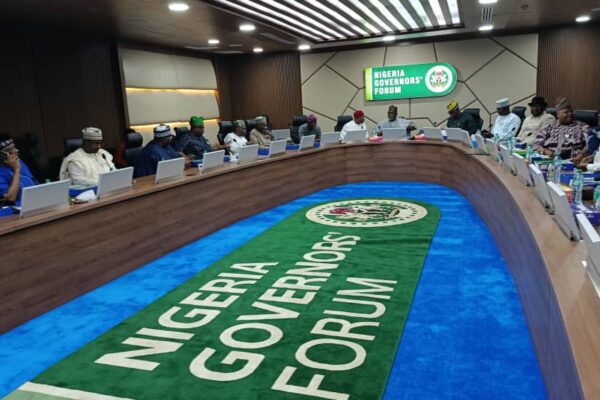 Diaspora investment supporting Nigeria’s development