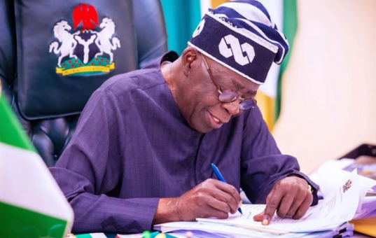 Tax Ombudsman John Nwabueze appointed by Tinubu