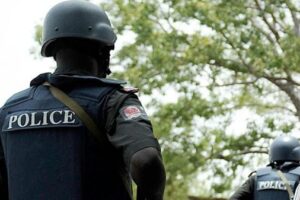 A Father in Delta Arrested for Defiling His Three Daughters