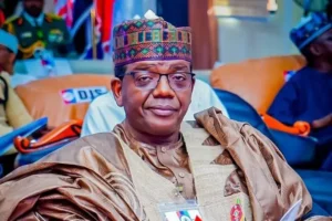 Matawalle Alleges Politicians Are Fueling Insecurity to Undermine Tinubu