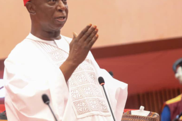 Ned Nwoko Pushes Social Media Bill After TikTok Murder Claim