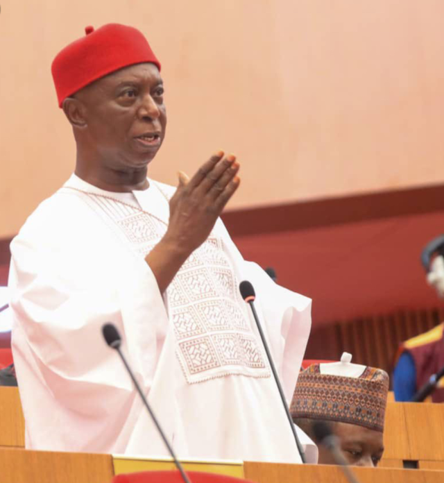Ned Nwoko Pushes Social Media Bill After TikTok Murder Claim