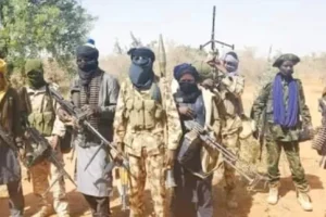 FG Dismisses Alert on Alleged Christmas Day Attacks badits