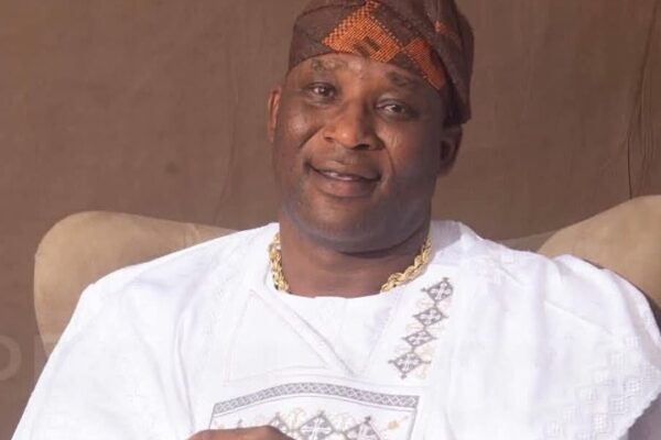 Adebayo Adedamola Emerges PDP Candidate in Adeleke’s Absence