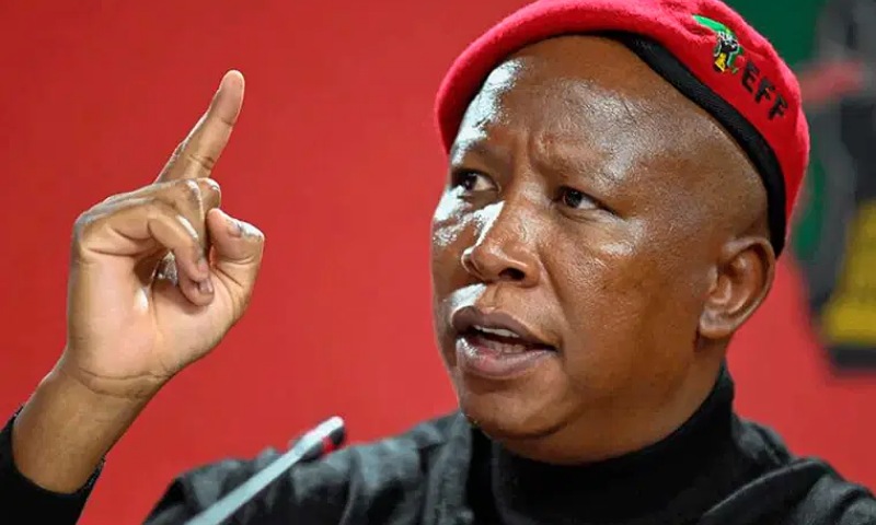 “If US Blocks Me, I’ll Come to Nigeria for Jollof” — South Africa Activist Malema