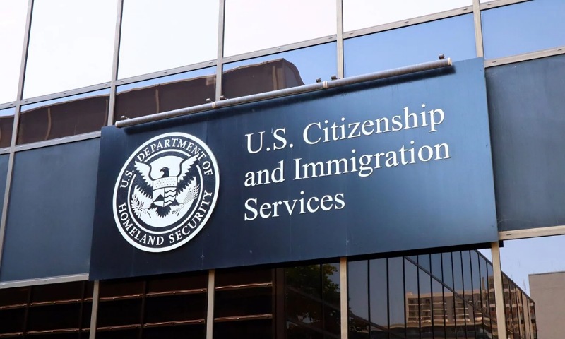 US Blocks Nigerians, Others From Applying for Green Card and Citizenship