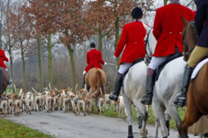 Trail Hunting Set to Be Banned Under New Animal Welfare Plan