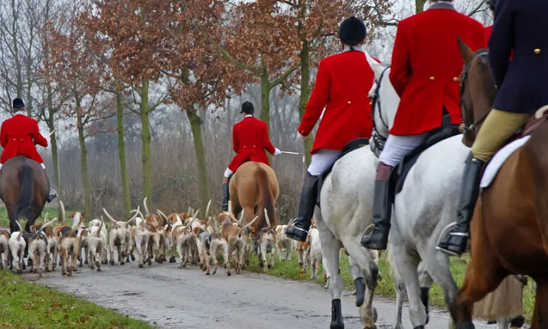 Trail Hunting Set to Be Banned Under New Animal Welfare Plan