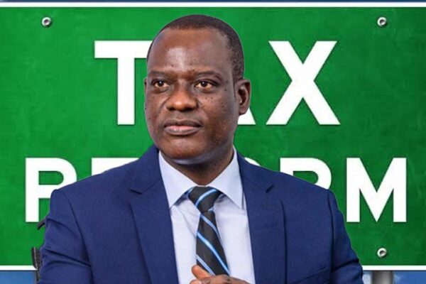 We Didn't Work with Version of Tax Bill Passed by Reps, Says Oyedele