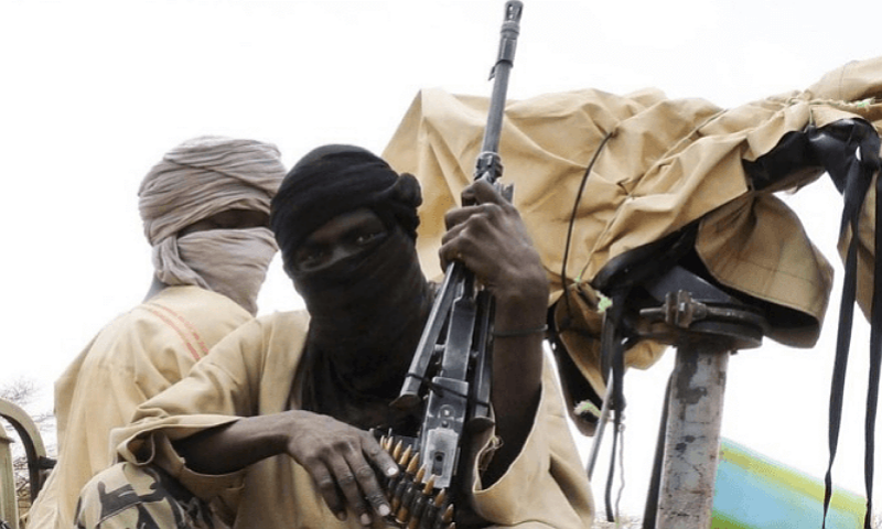 Tears in Niger as Bandits Kill Over 30, Abduct Women and Children