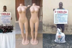 NDLEA Arrests Businessman as Tramadol Pills Are Found Inside Mannequins