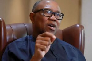 Suspend New Tax Law Implementation, Peter Obi Tells FG