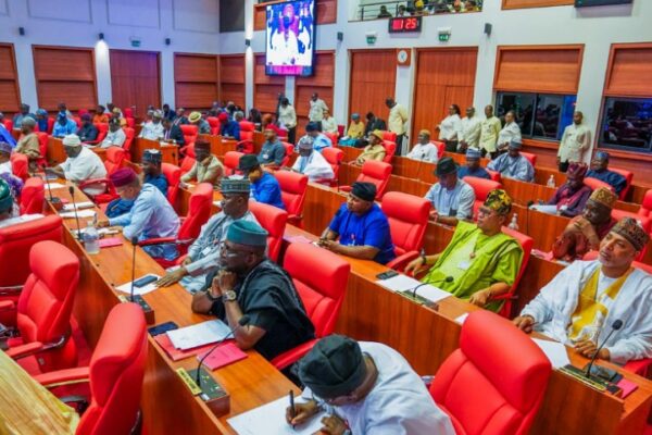 Senate Says Nigeria Is Working Hard to Fix Its Global Image