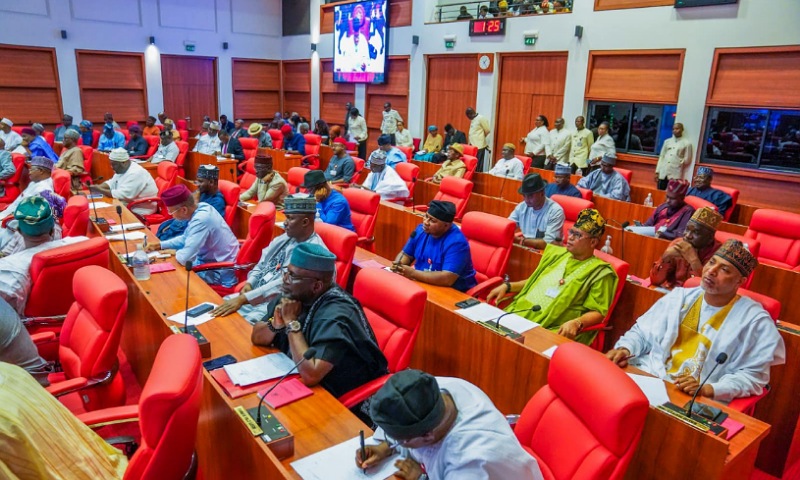 Senate Says Nigeria Is Working Hard to Fix Its Global Image