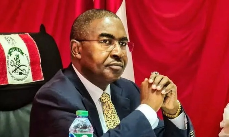 NDLEA Makes Nearly 78,000 Arrests, Seizes 14,847kg of Drugs in Five Years — Marwa