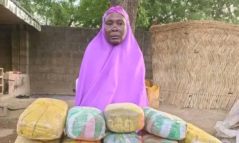 Soldiers Arrest Woman Accused of Supplying Drugs to Terrorists in North-East