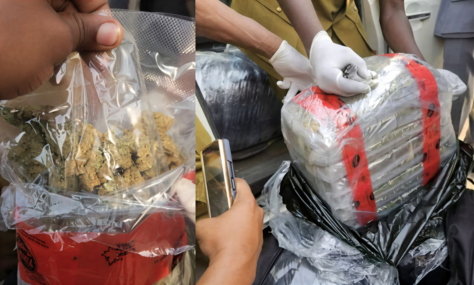 Customs, NDLEA Seize 347.5kg of Cannabis at Apapa Port