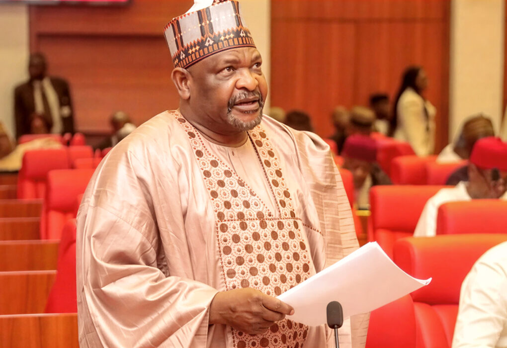 Next We May Hear Akpabio Is Hijacked — Senator Ningi Reacts to US Airstrikes